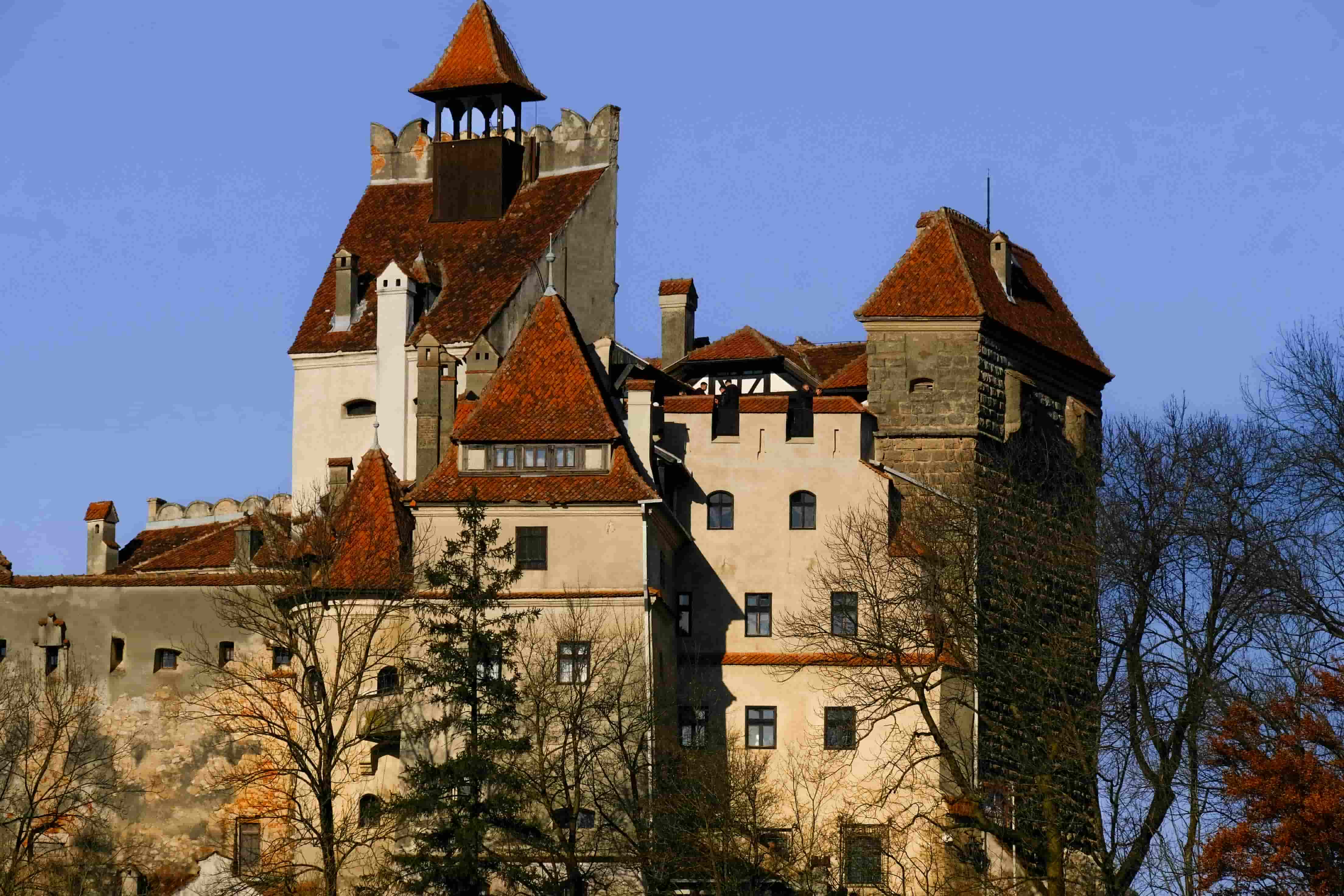 Dracula's Castle